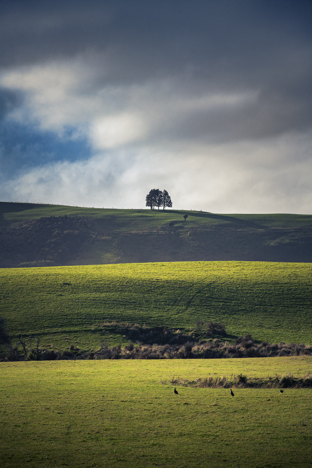 Layered green hills lit by the sunshine with a tree on a top of the hills and clouds at the top.