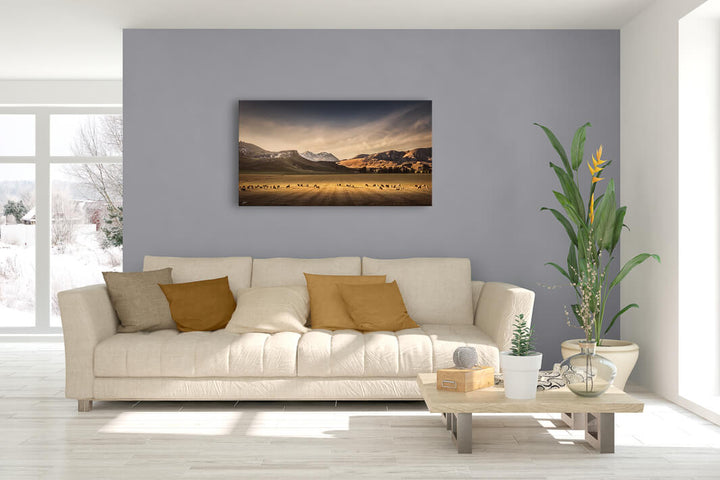 Canvas photo wall art of New Zealand landscape image in lounge setting with a pale blue wall, white couch, coffee table, plant, cushions.